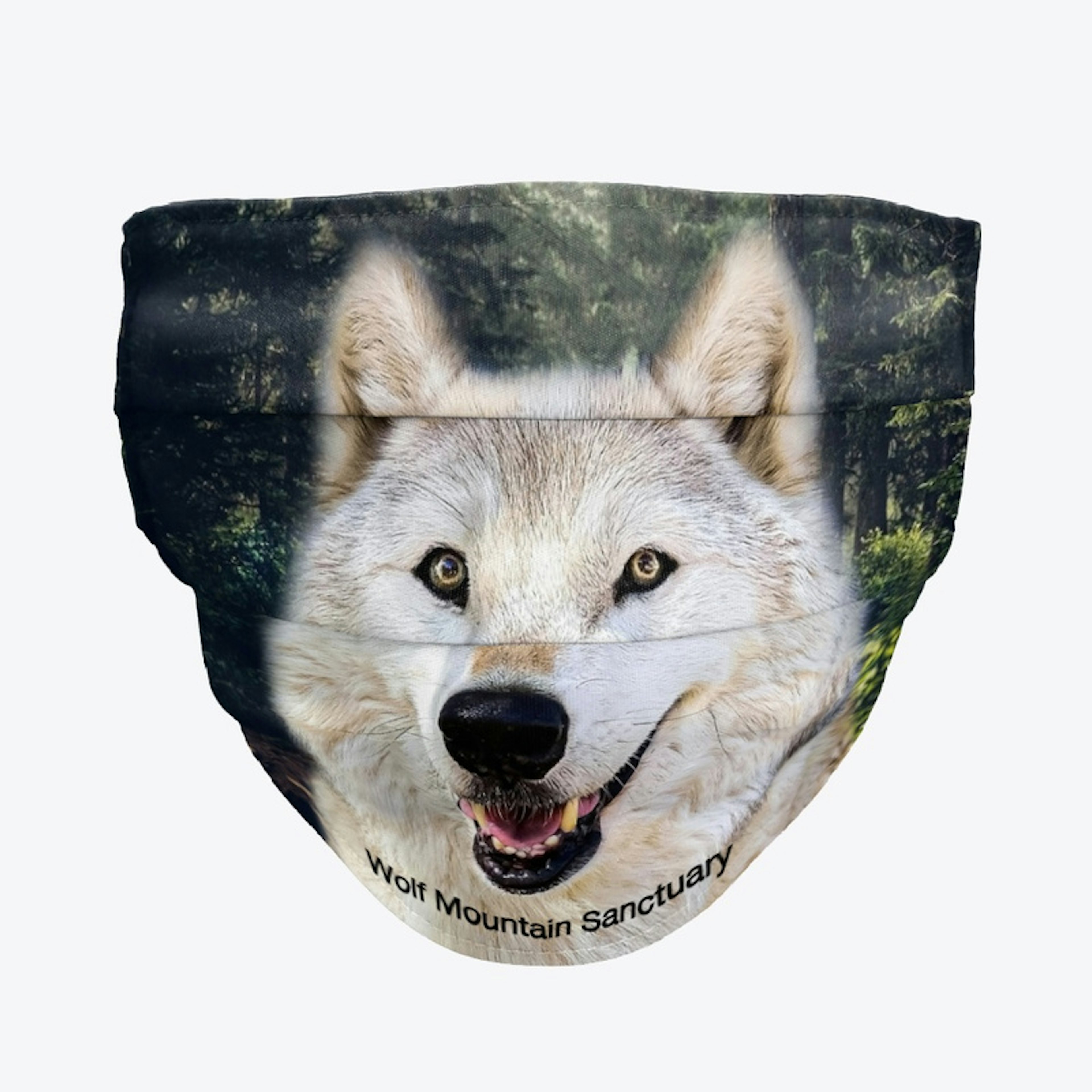 Denali  Face Mask - Wolf Mtn Sanctuary